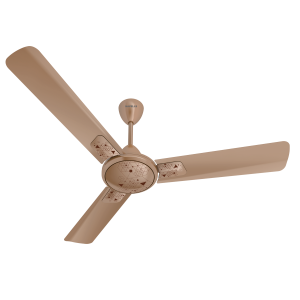 Havells Antilia Bronze Cola Chrome 48" 1200mm Ceiling Fan