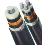 Armored LT Cables