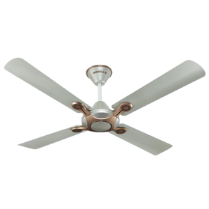 Havells Leganza bronze gold 48" 1200mm Ceiling Fan 